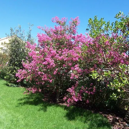Adriatica Immobiliare - Smeralda Village * לידו די ג'סולו